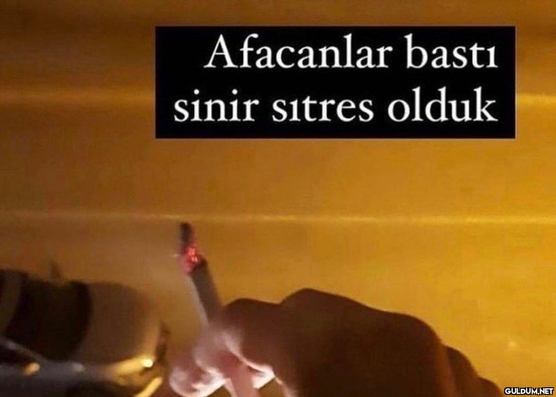Afacanlar basti sinir...