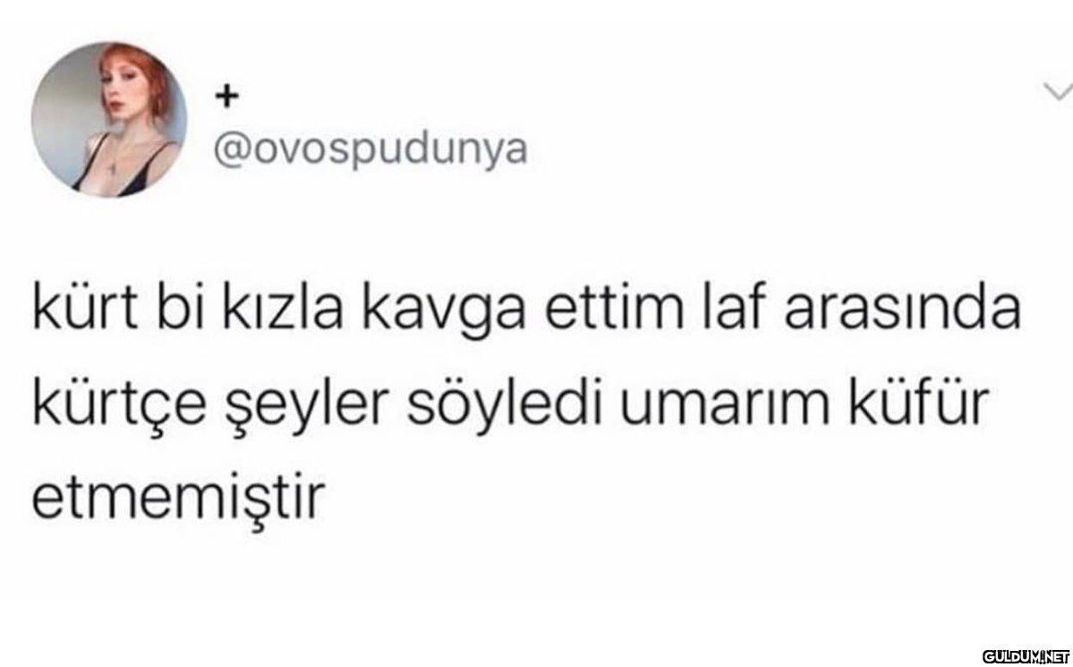 + @ovospudunya kürt bi...