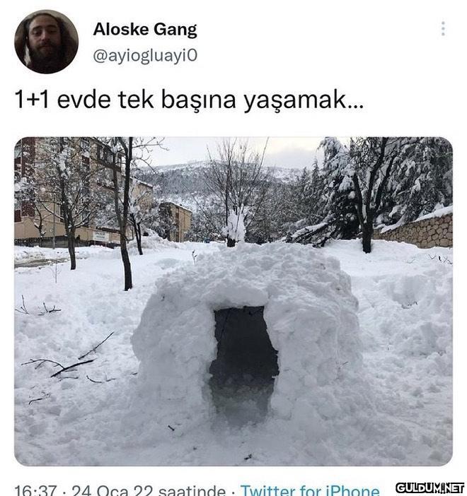 Aloske Gang @ayiogluayio...
