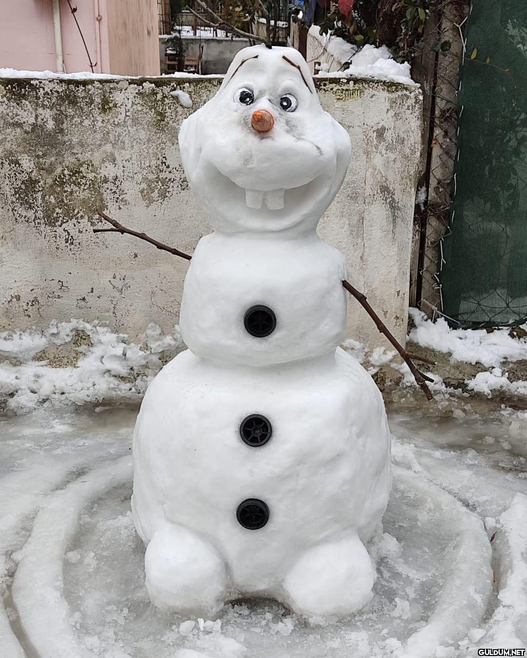 (Kaydırmalı)  Doğa...