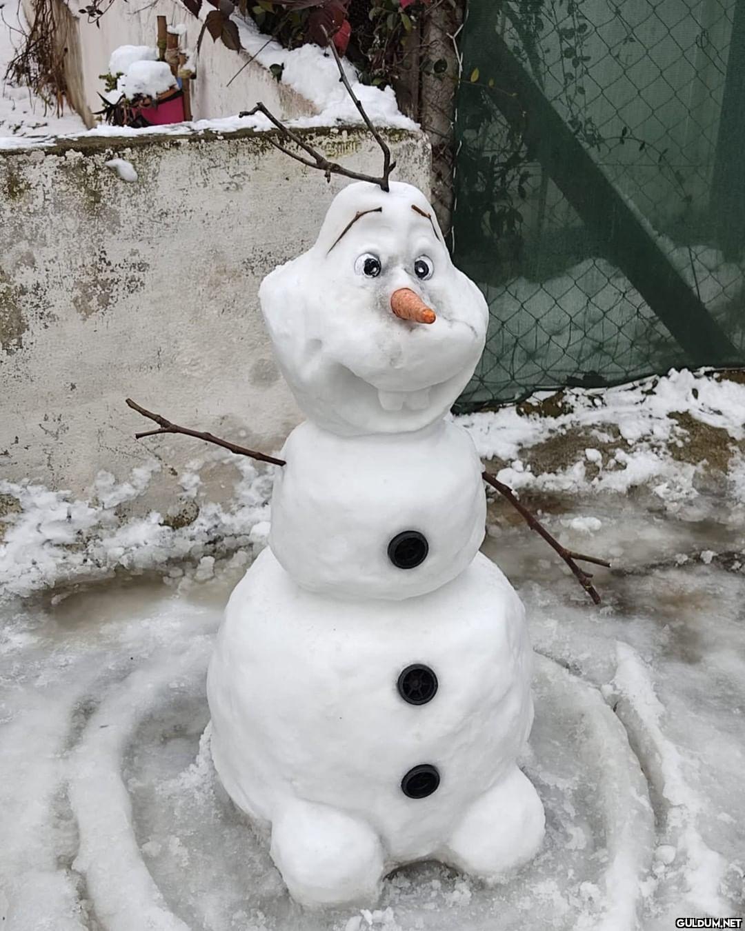 (Kaydırmalı)  Doğa...