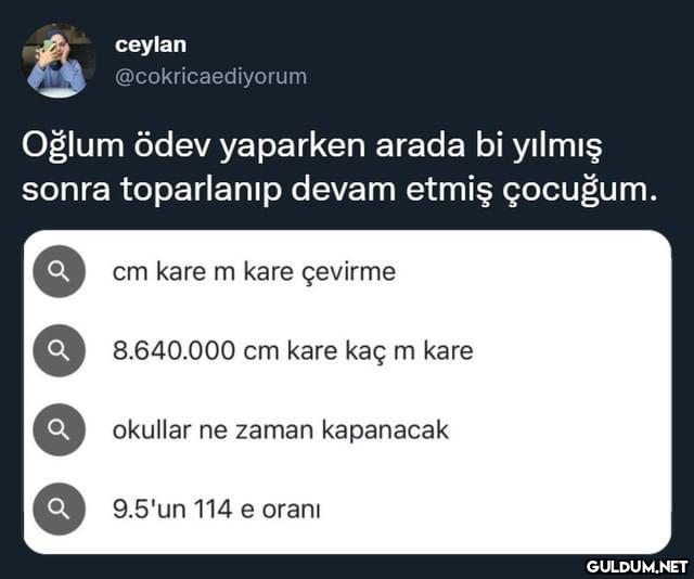 ceylan @cokricaediyorum...