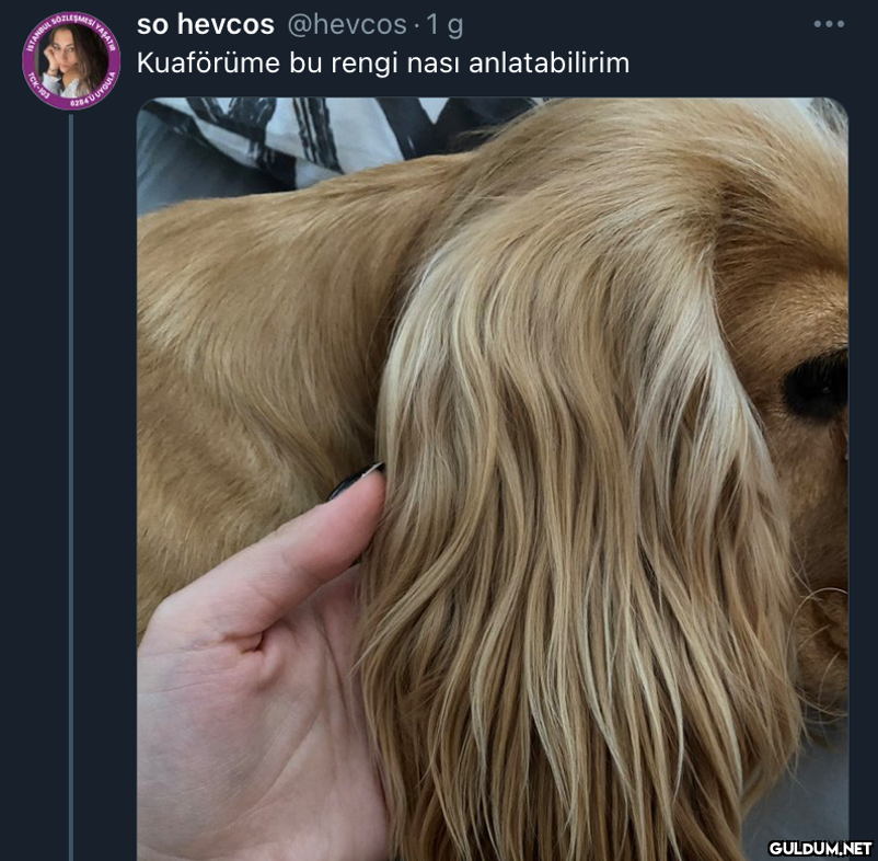 so hevcos @hevcos ·1 g...