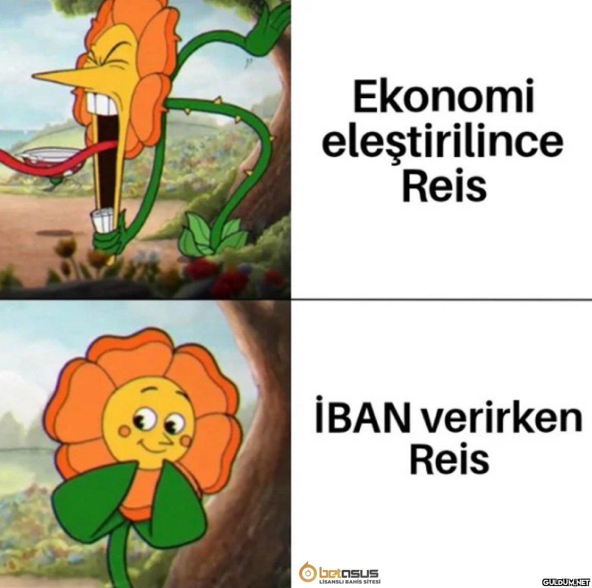 Ekonomi eleştirilince Reis...