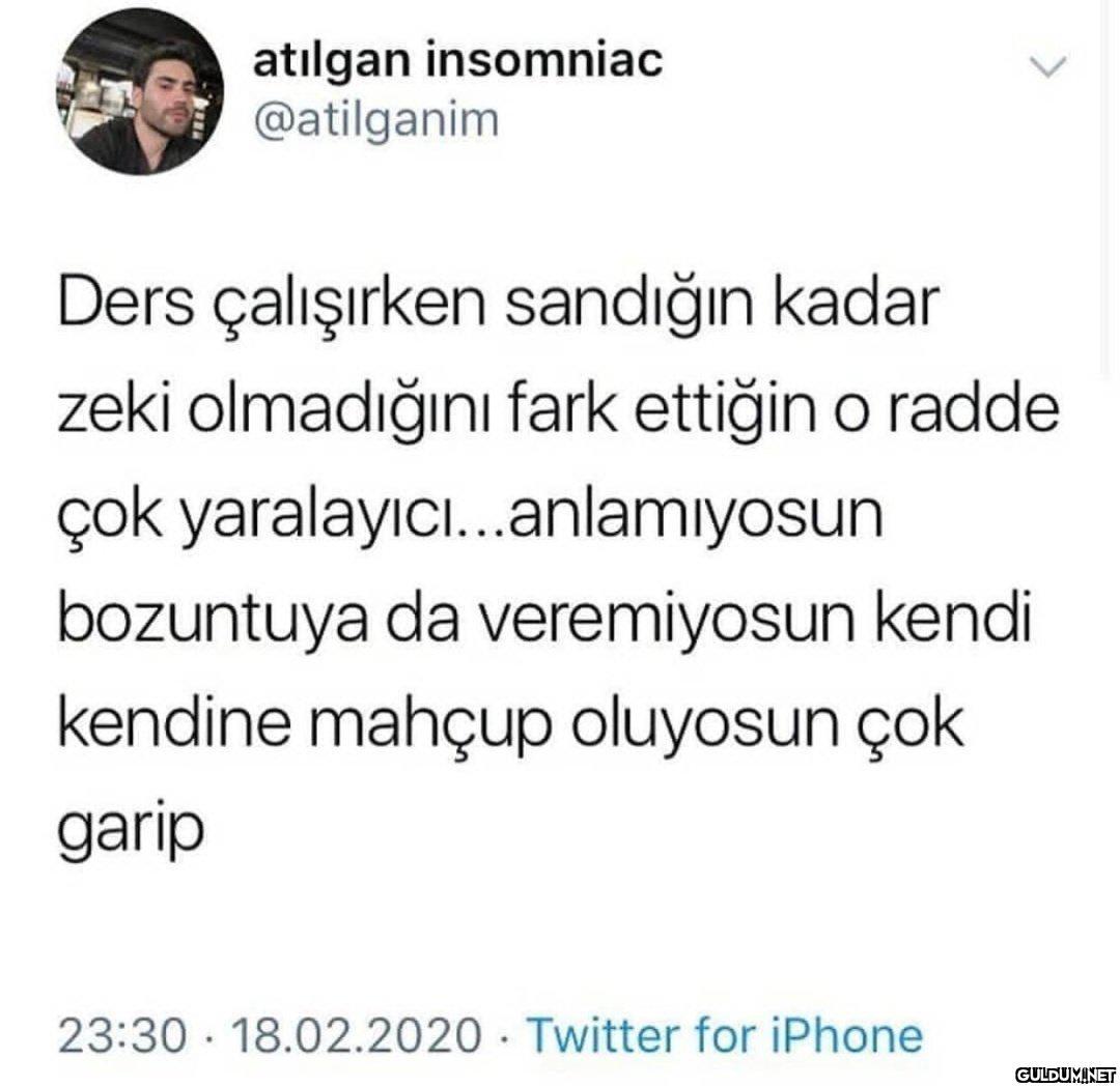 atılgan insomniac...