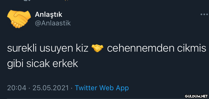 Anlaştık @Anlaastik...