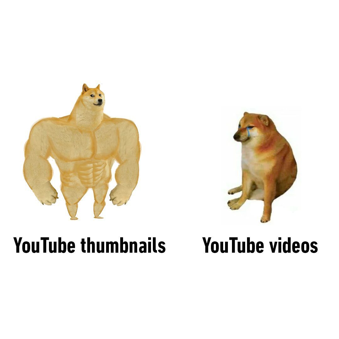 doge join discord??...