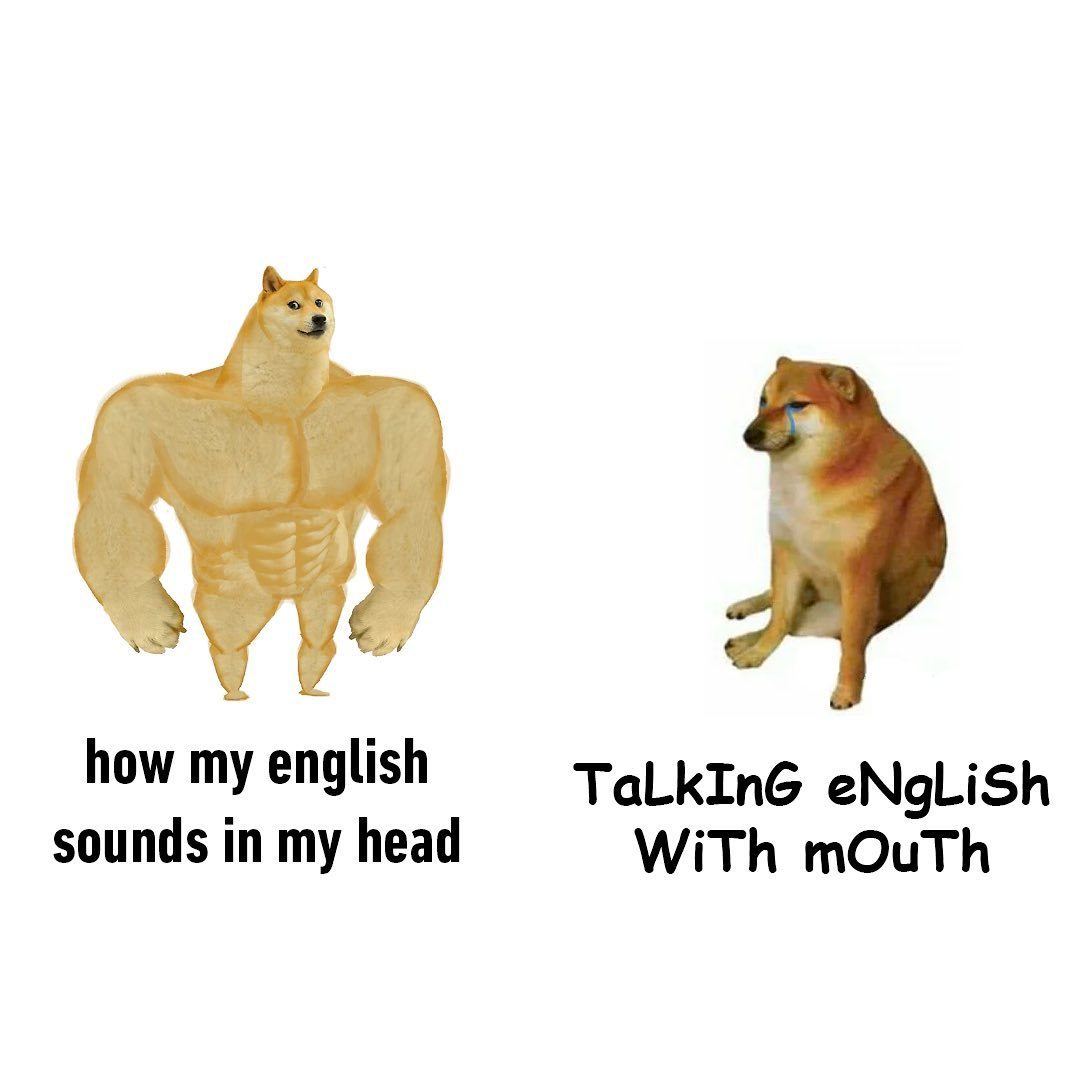 doge join discord??...