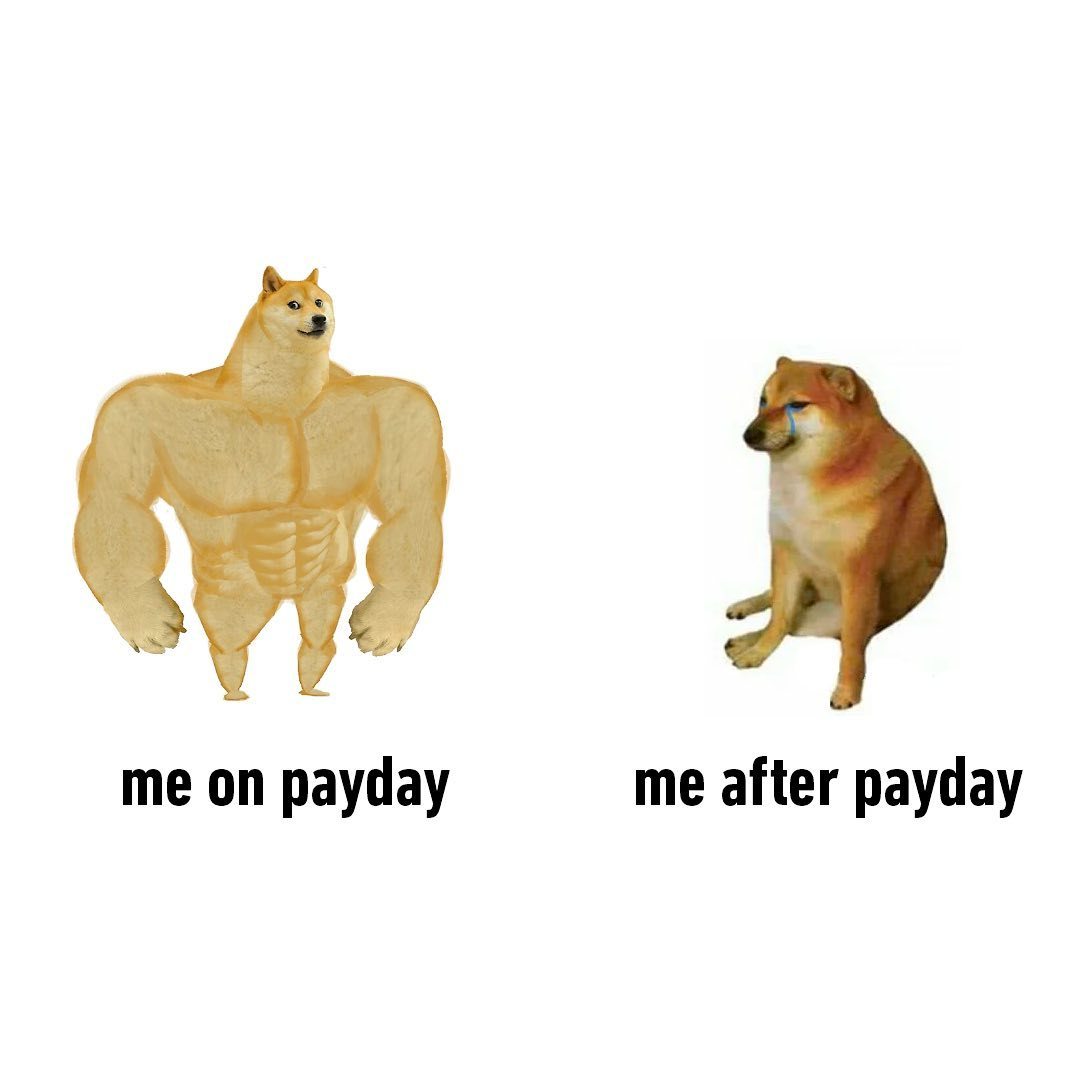 doge join discord??...