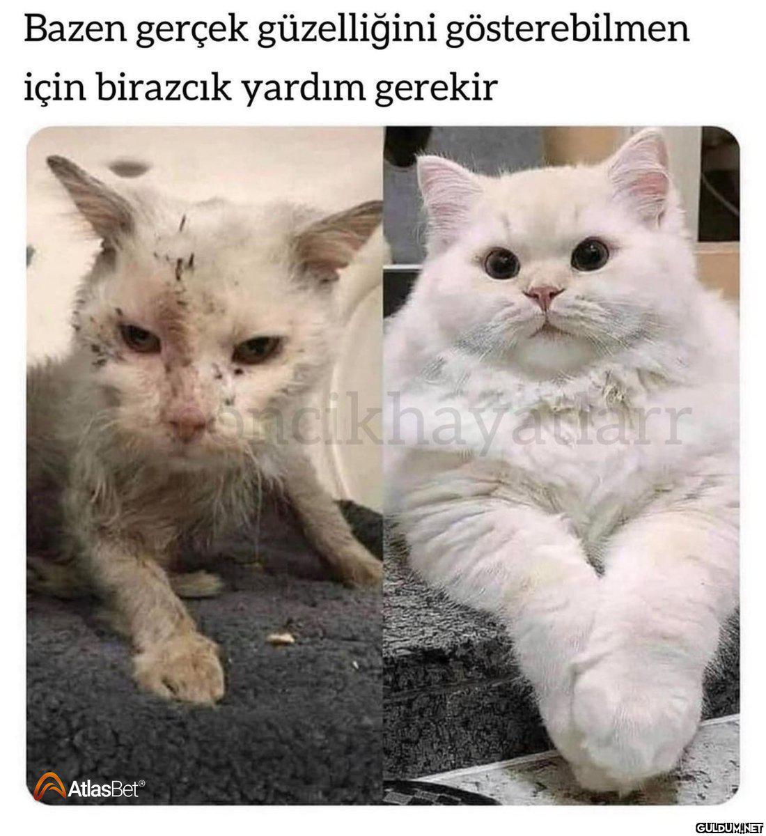 Hastasıyız böyle...
