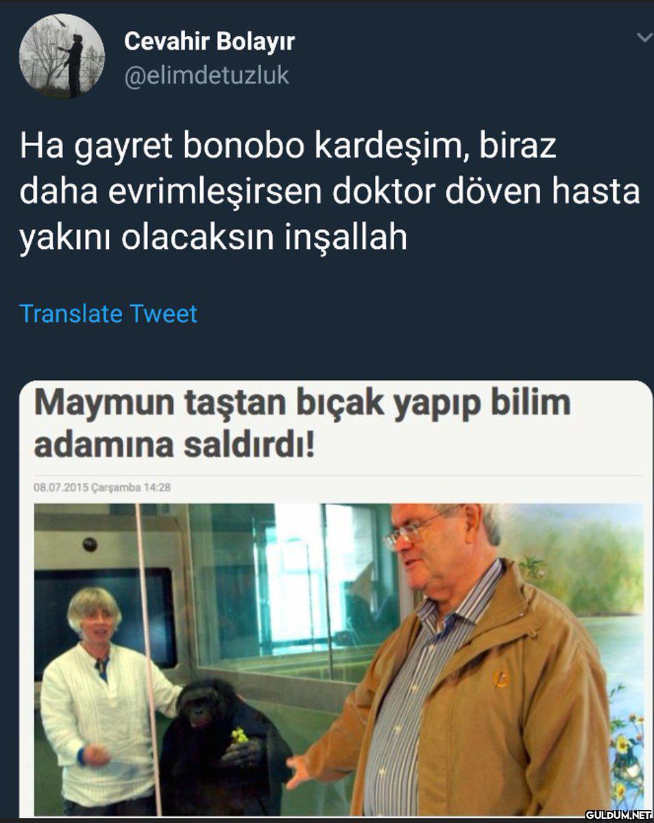 Cevahir Bolayır...