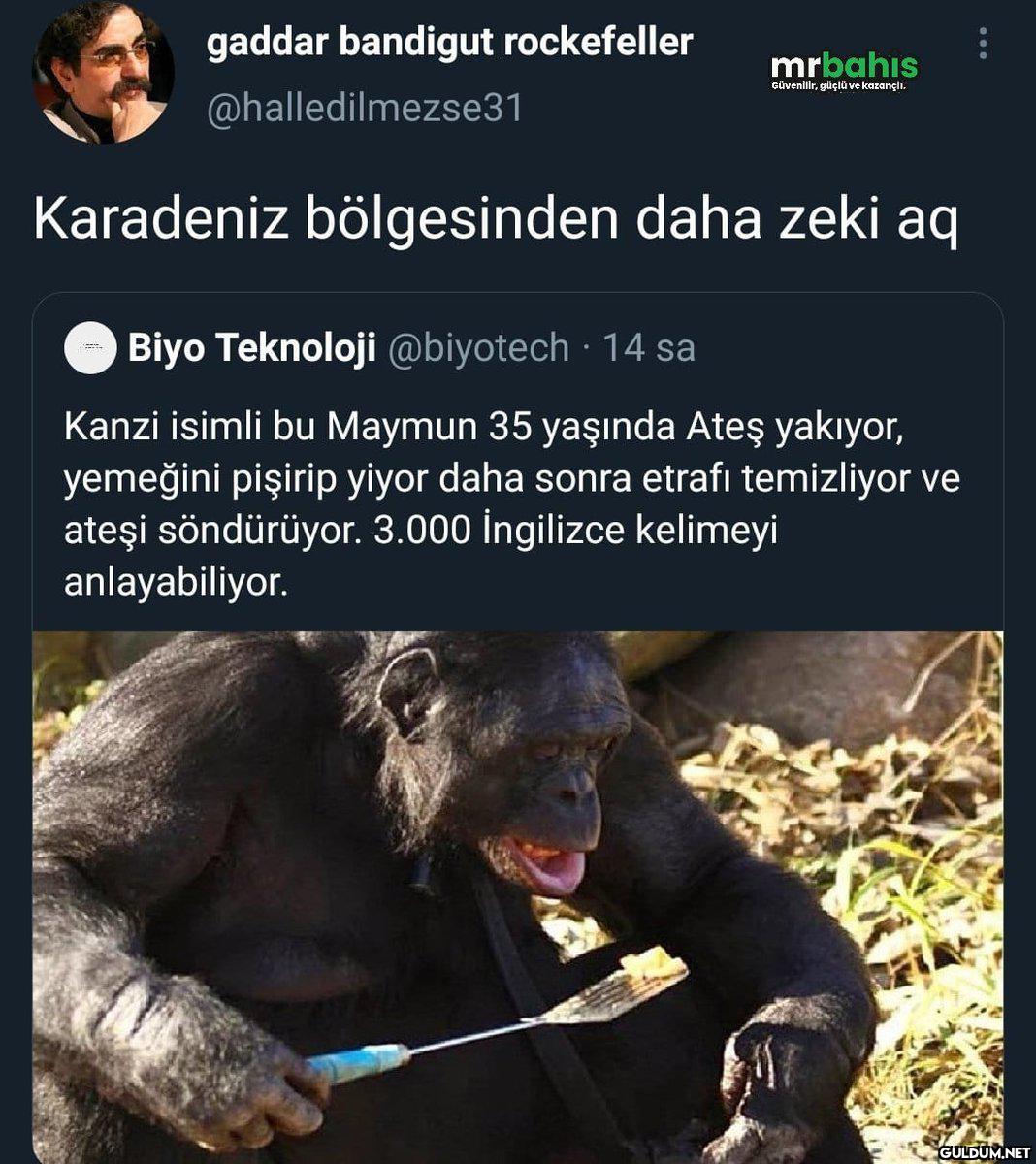 gaddar bandigut...
