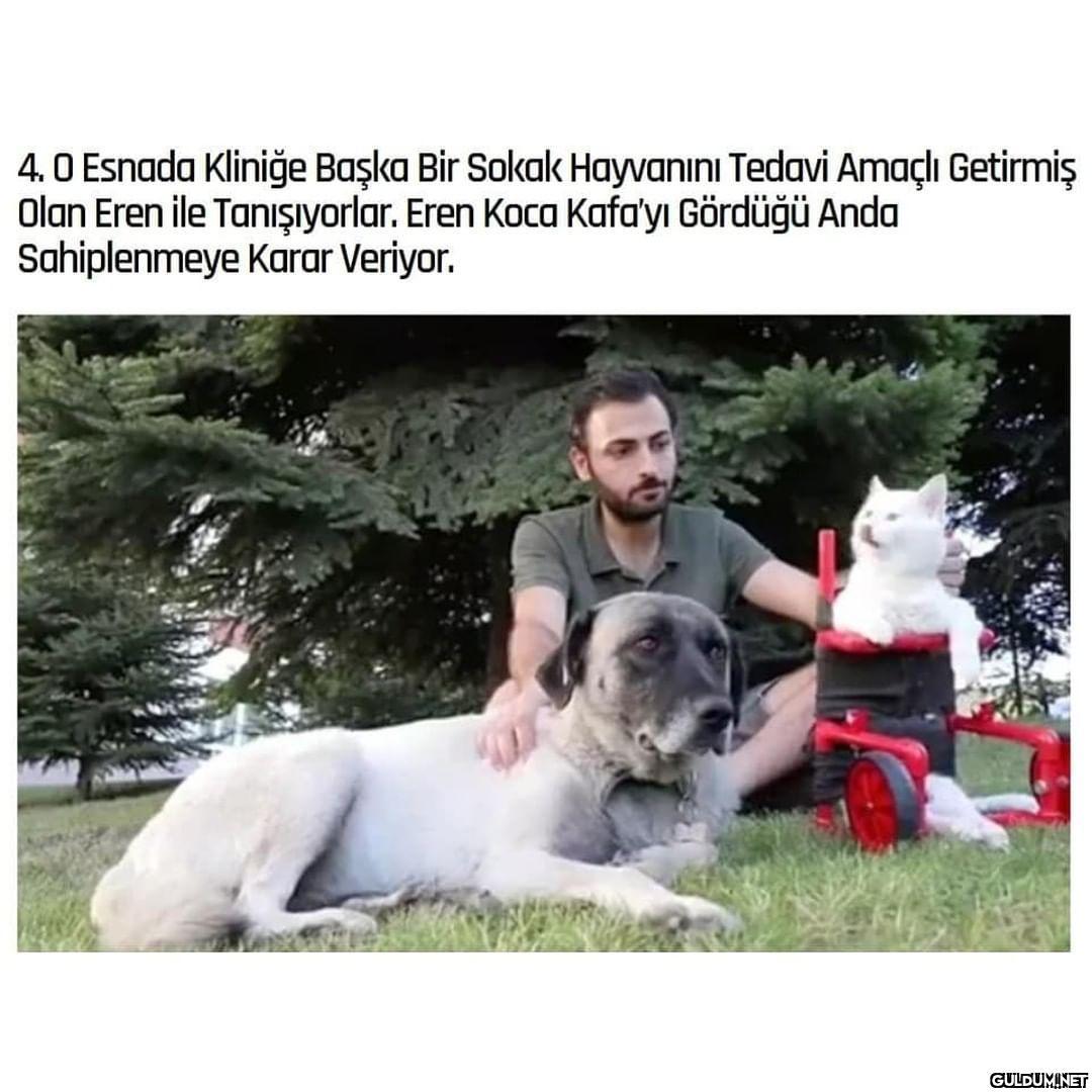 Maruz kaldığı saldırıdan...