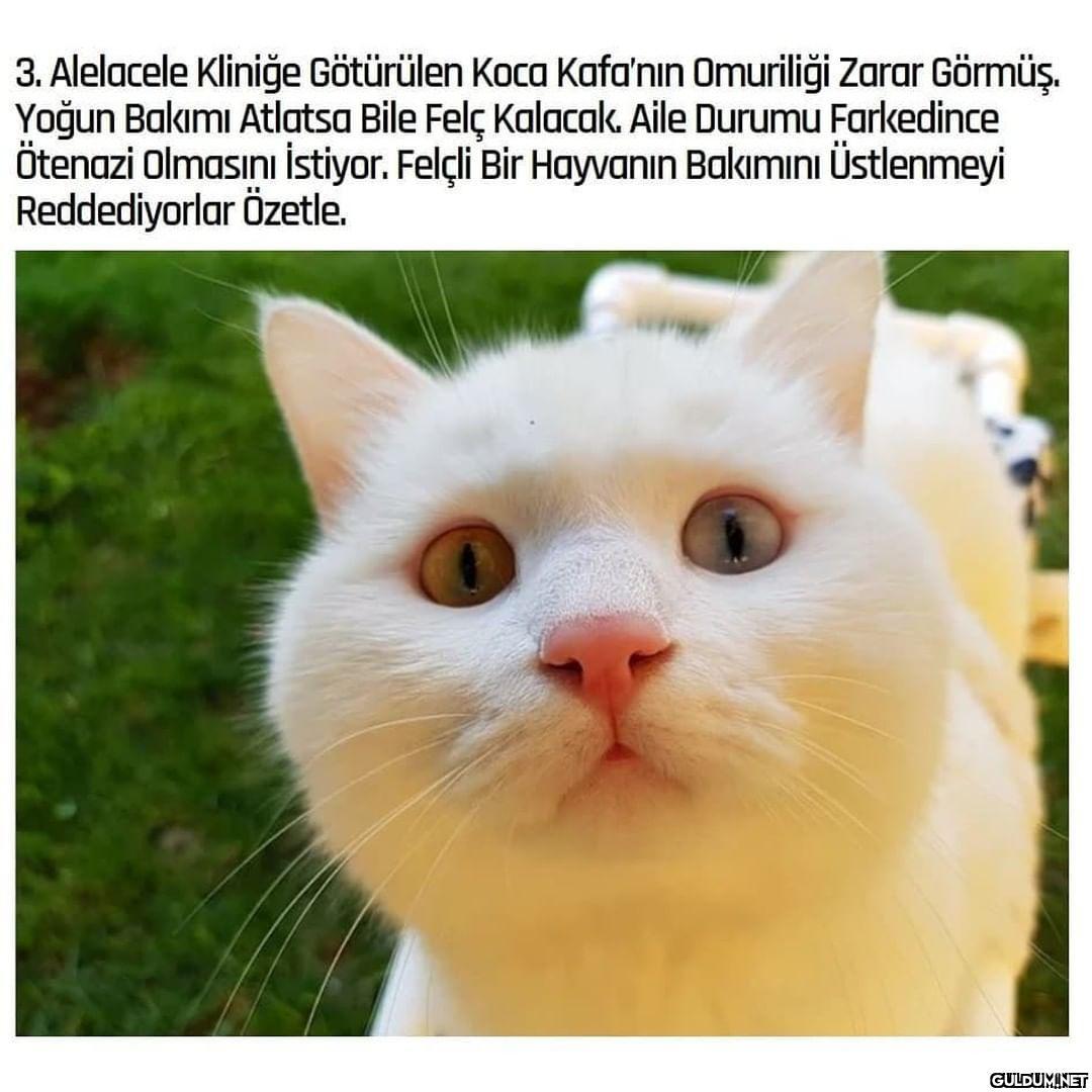 Maruz kaldığı saldırıdan...