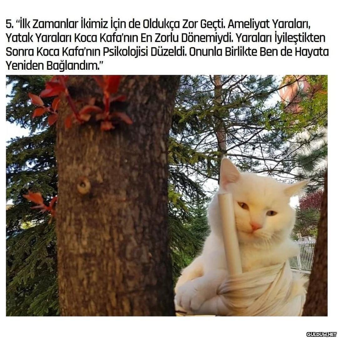 Maruz kaldığı saldırıdan...