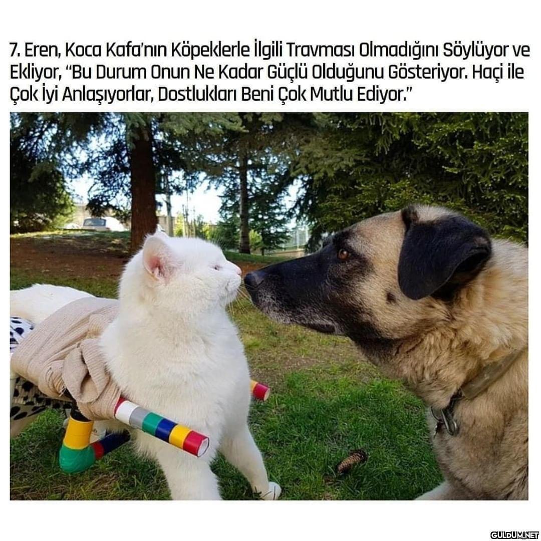 Maruz kaldığı saldırıdan...