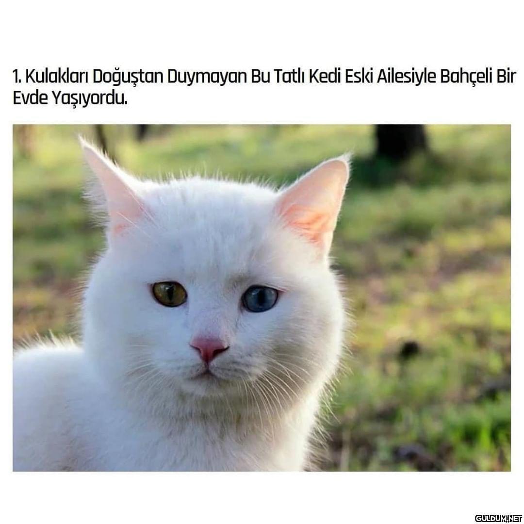 Maruz kaldığı saldırıdan...