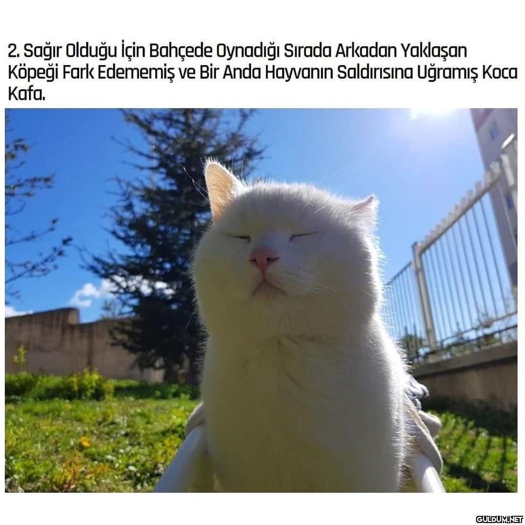 Maruz kaldığı saldırıdan...