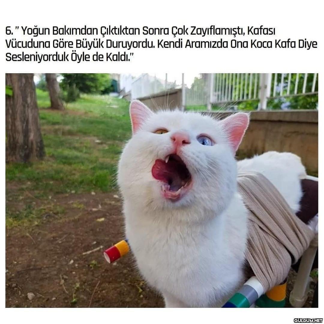 Maruz kaldığı saldırıdan...