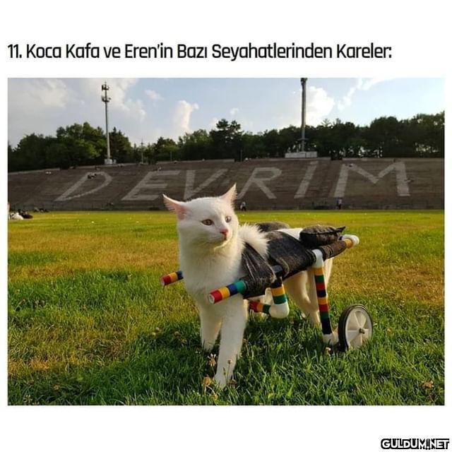 Maruz kaldığı saldırıdan...