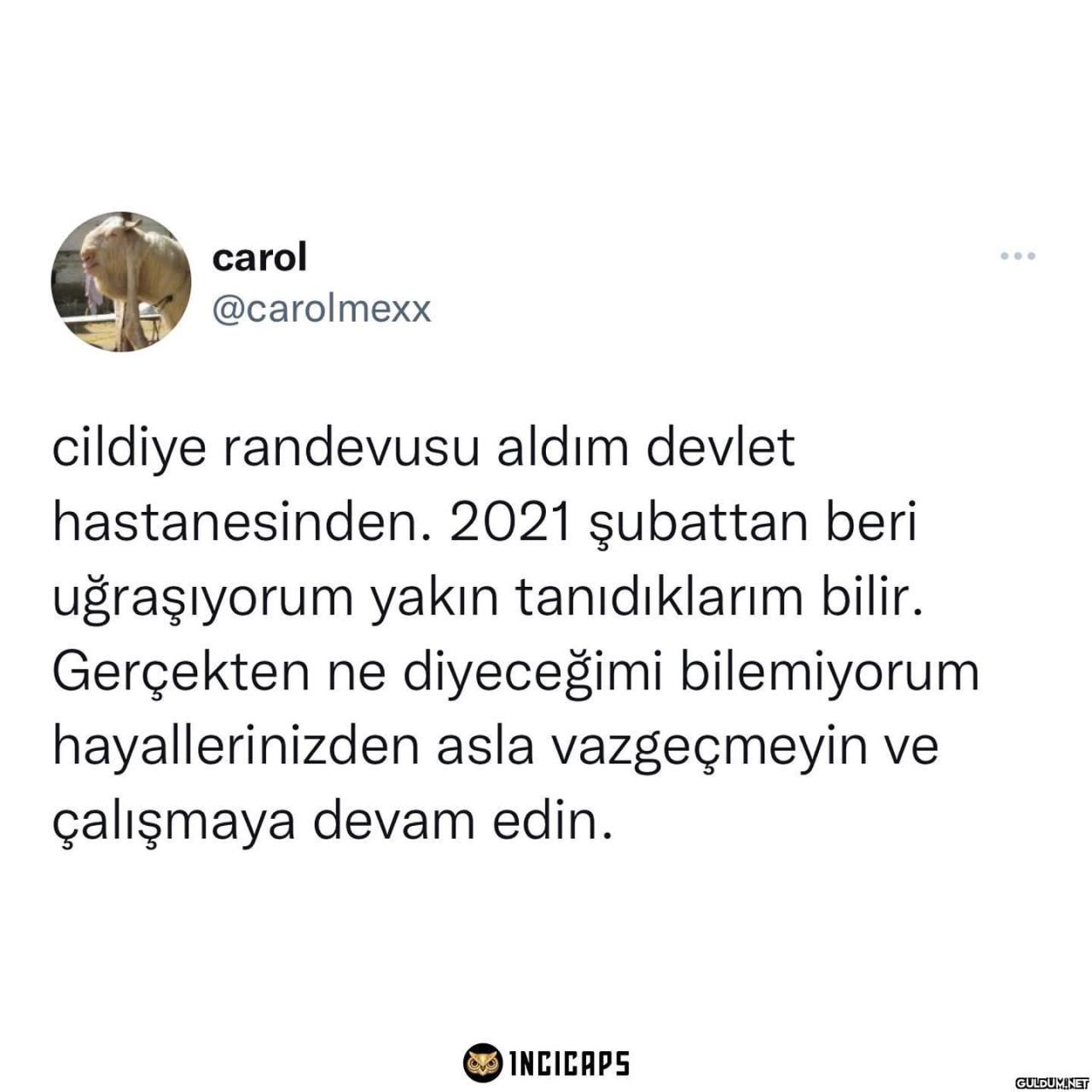 carol @carolmexx cildiye...