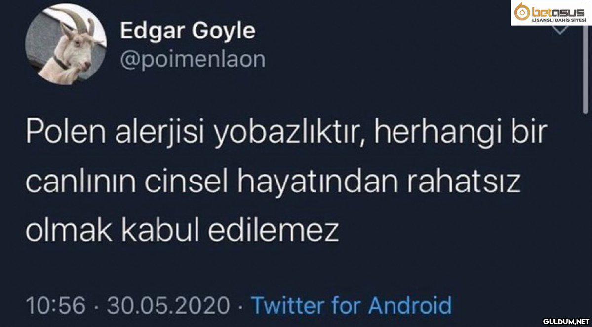 betasus LİSANSLI BAHİS...