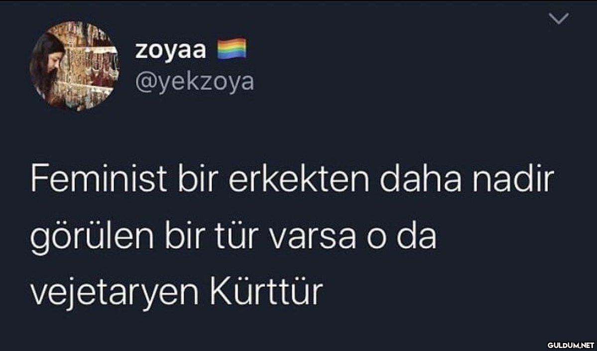zoyaa @yekzoya Feminist...