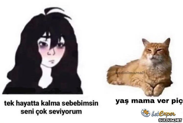 Sahipsen sahipliğini bil  ...
