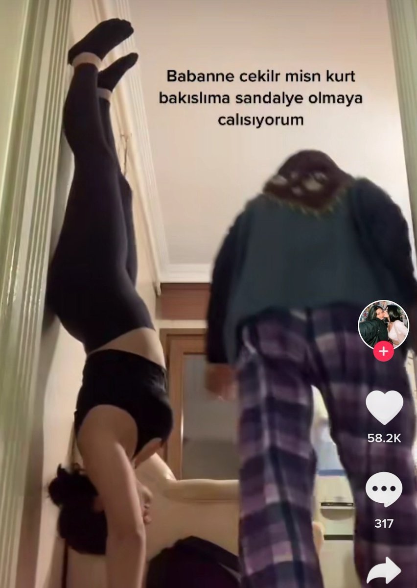 Z kuşağı gümbür gümbür   ...