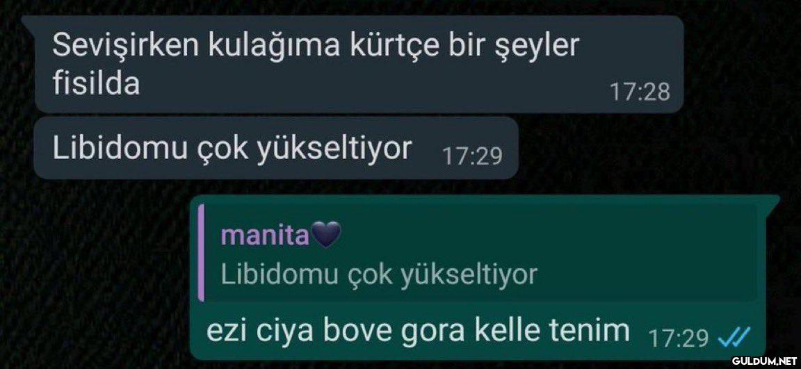 Sevişirken kulağıma kürtçe...