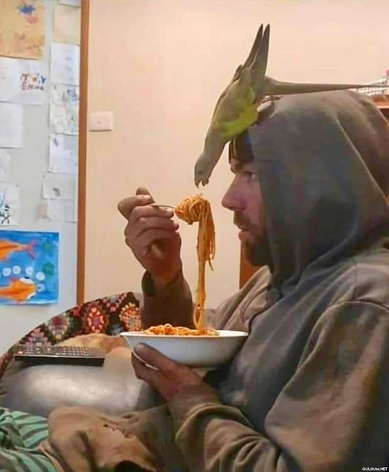 anlamsız fotoğraflar 2837 ...