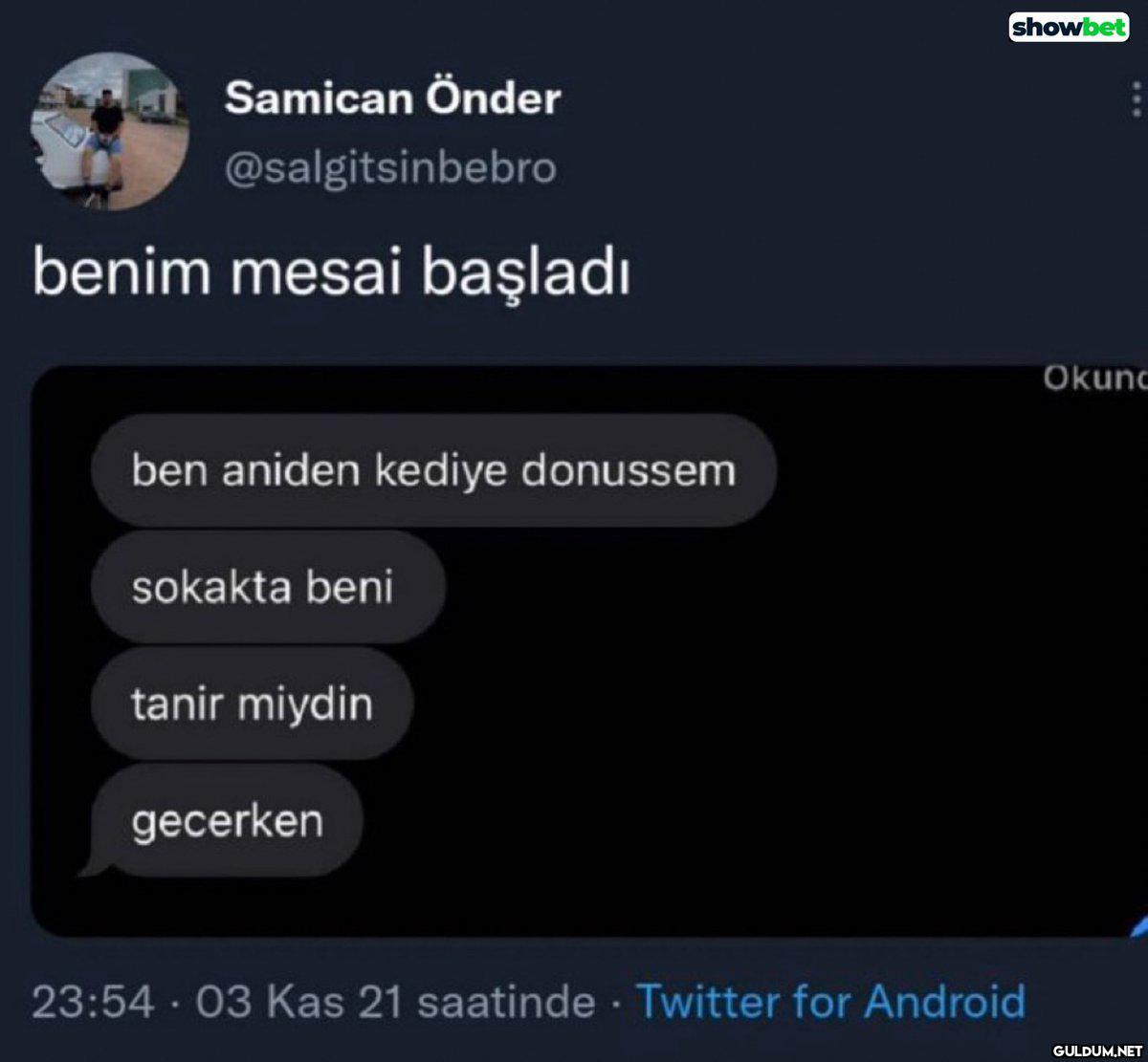 showbet Samican Önder...