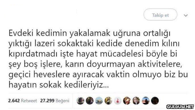 Evdeki kedimin yakalamak...