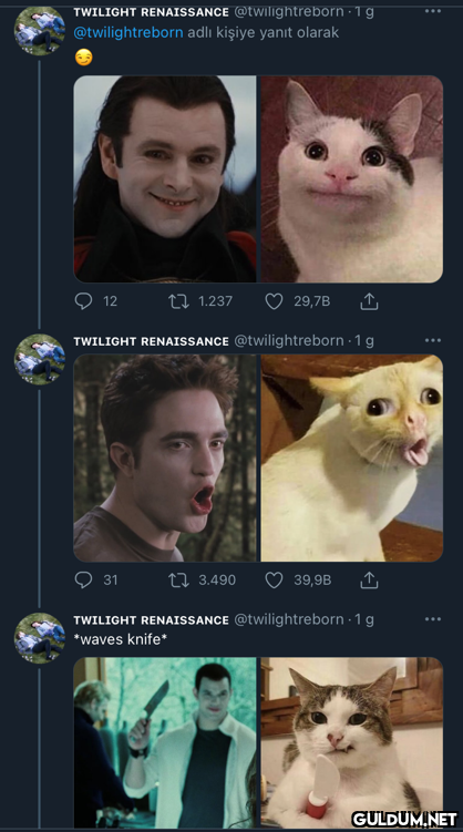TWILIGHT RENAISSANCE...