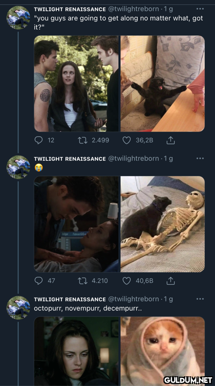 TWILIGHT RENAISSANCE...