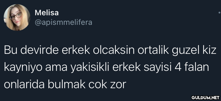 Melisa @apismmelifera Bu...