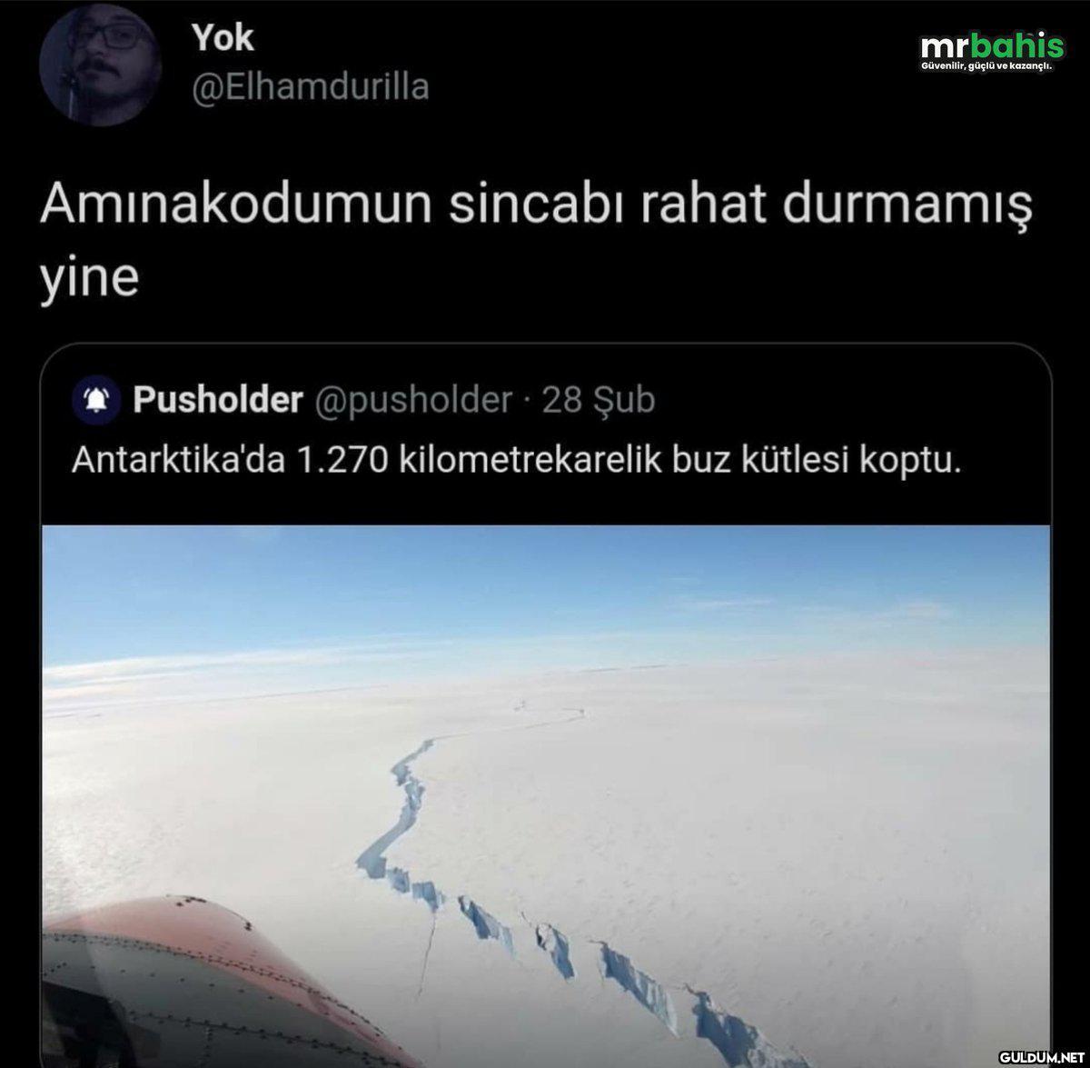 Yok mrbahis Güvenilir,...