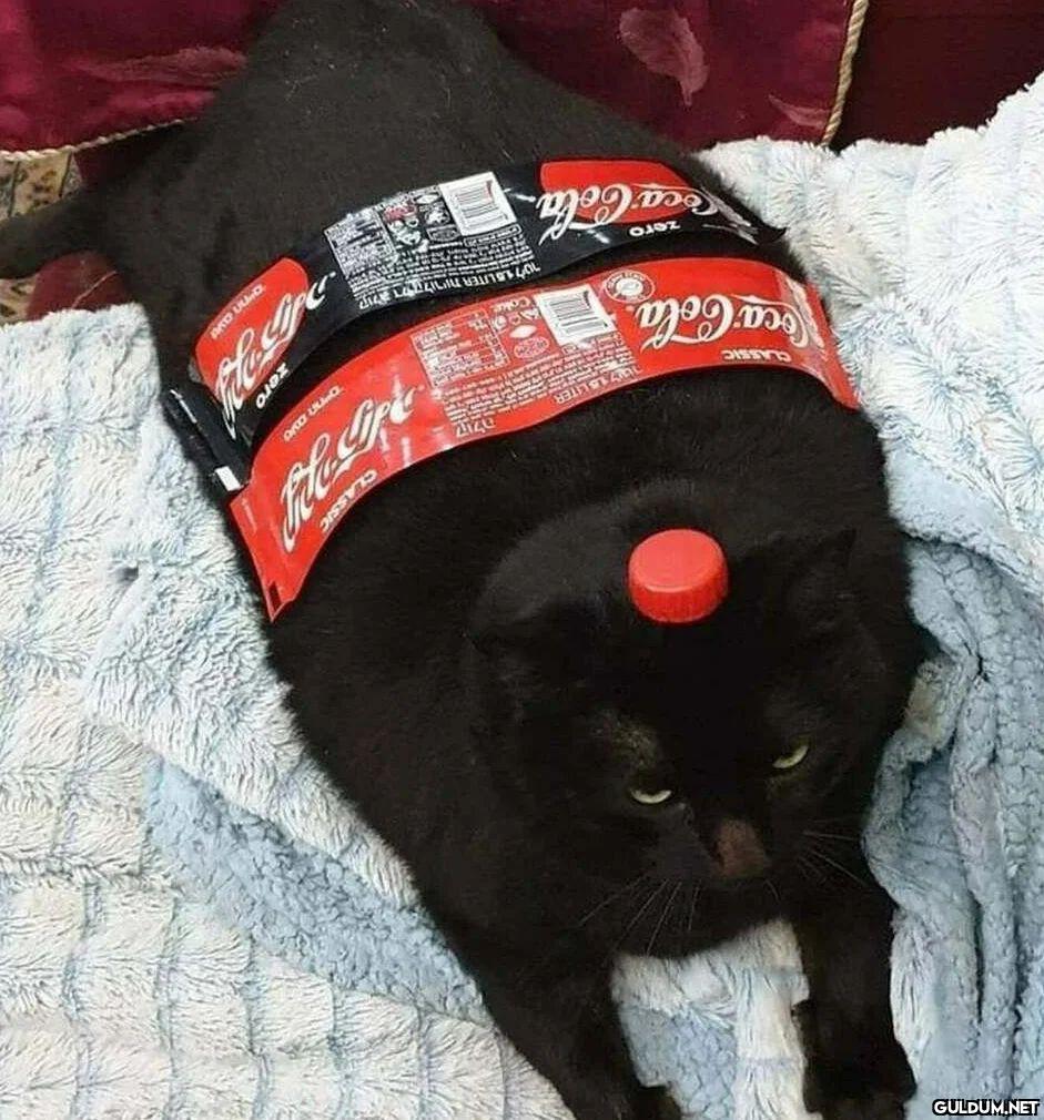 Tanınmamak için kılık...