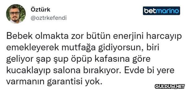 Kedi gibi    Öztürk  ...
