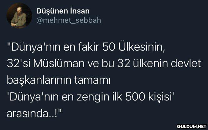 Düşünen İnsan...