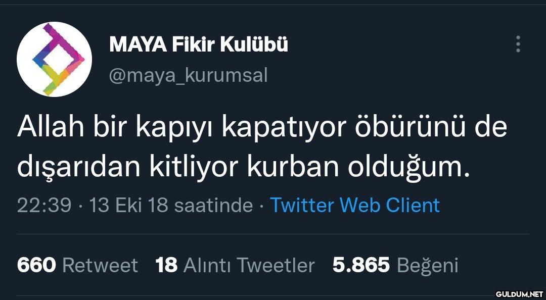 MAYA Fikir Kulübü...