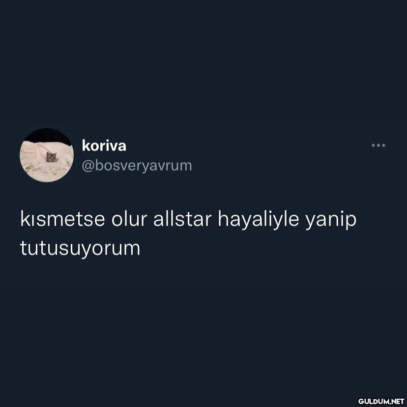 kafayı anca toplar  koriva...