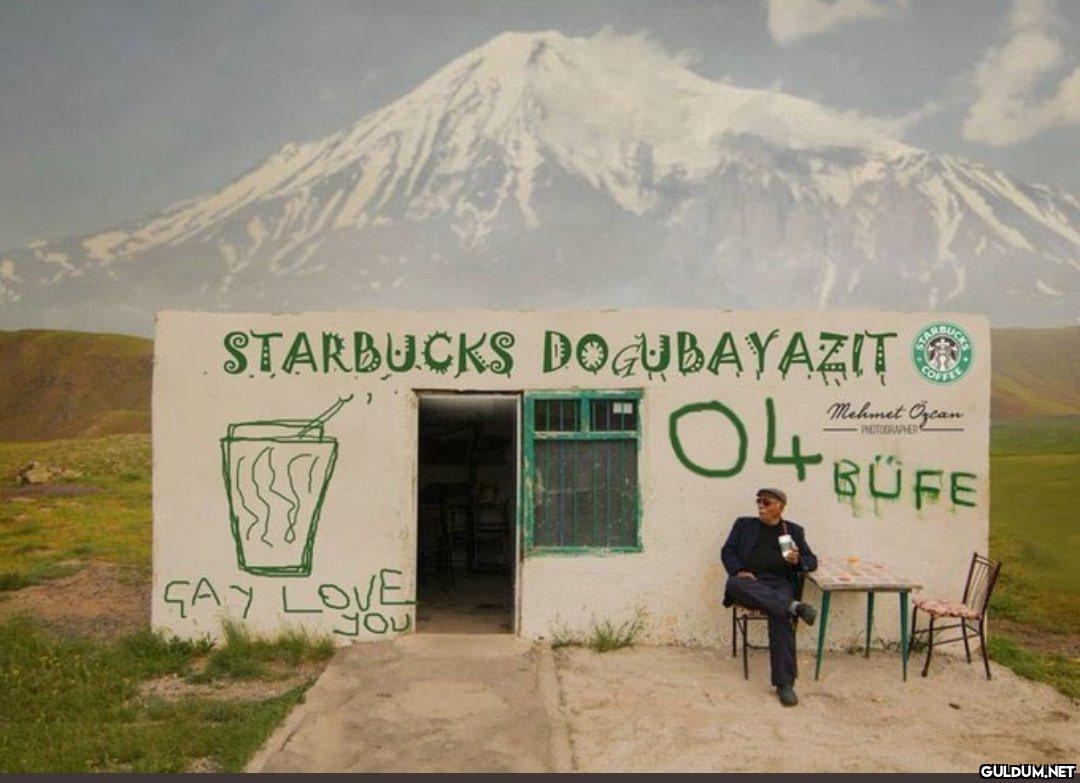 Çok güzel foto   ...