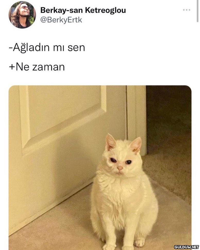 Berkay-san Ketreoglou...