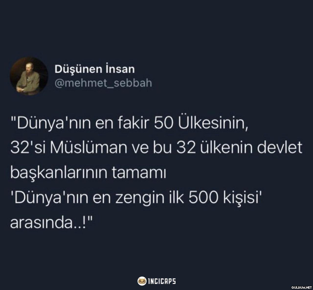 Düşünen İnsan...