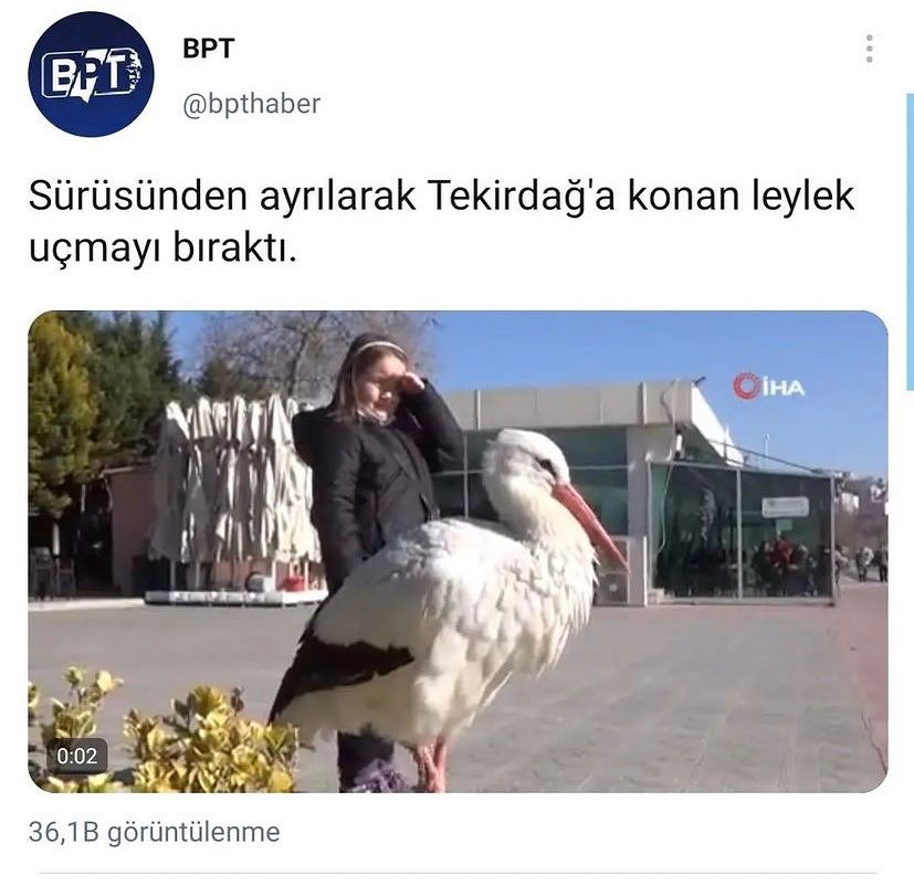 Aynen Türkiye’de yaşamak...