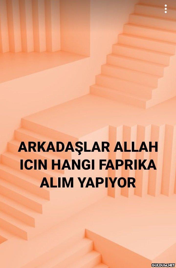 ARKADAŞLAR ALLAH ICIN...