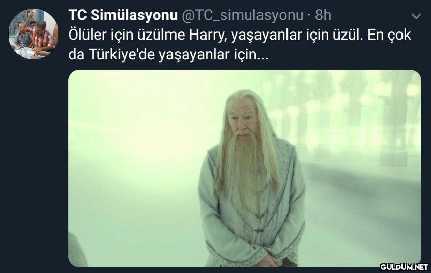 TC Simülasyonu...