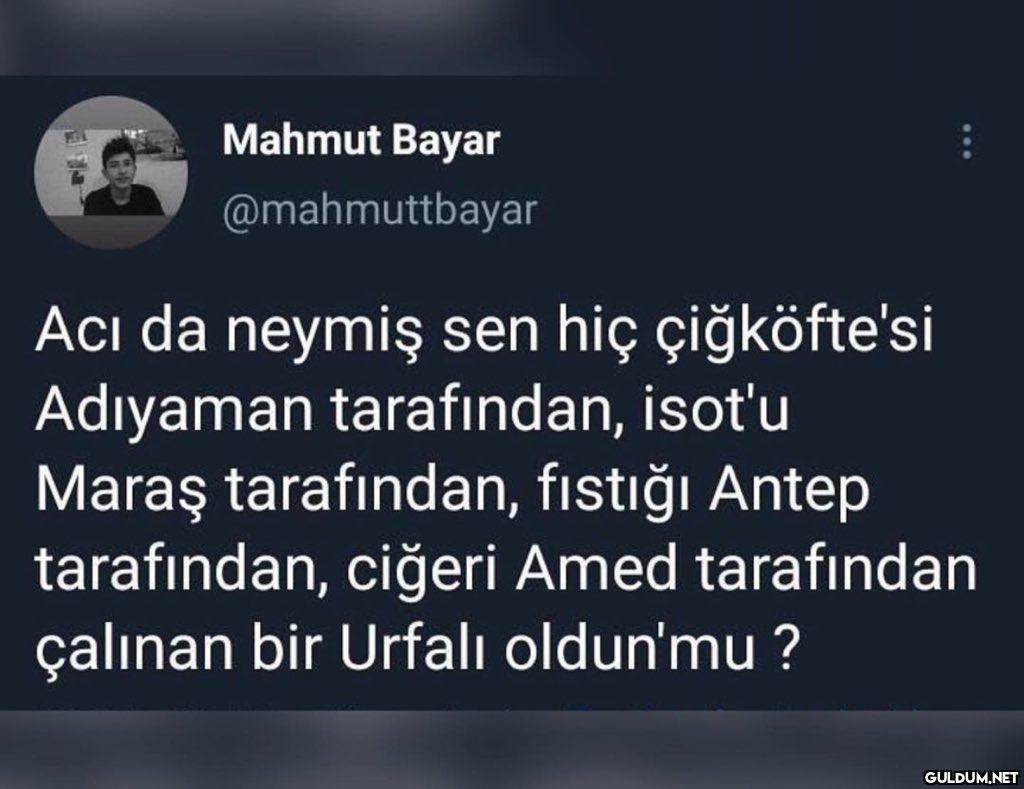 Mahmut Bayar @mahmuttbayar...