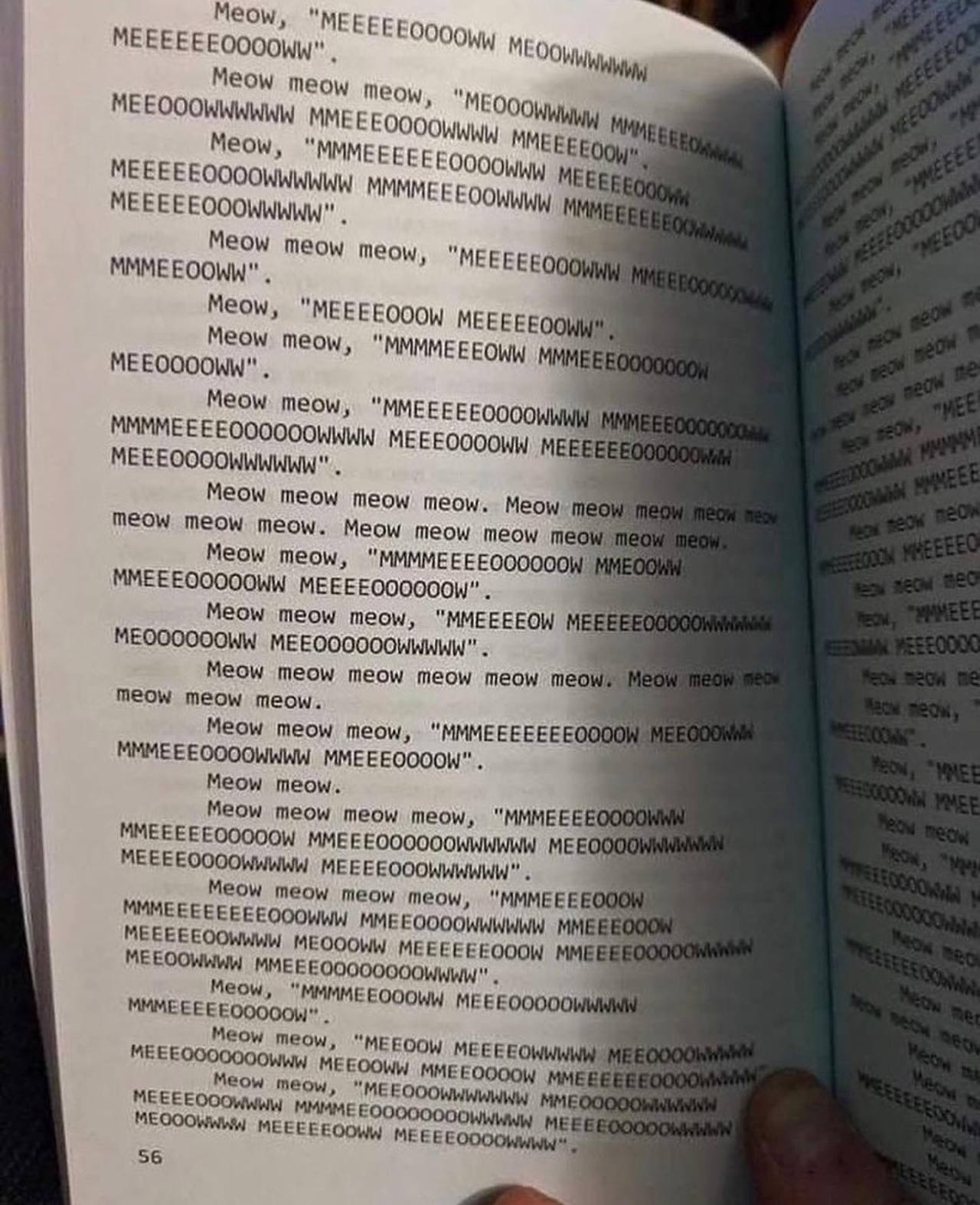 @not.not.reading 🐈  Kaynak